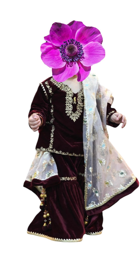 Rent Sanas Velvet Gharara